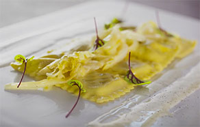 Ravioloni ai porcini, crema al taleggio e indivia belga brasata